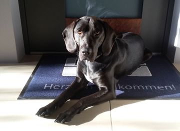 Leo | "Mitarbeiter" von von KAPPELHOFF in Melle